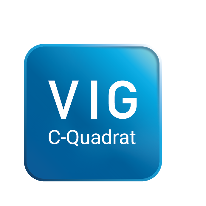 VIG